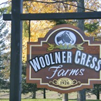 Woolner Cress