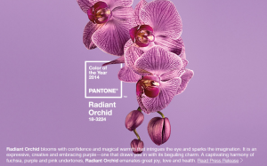Artistic Signs - Pantone - The Sign Depot